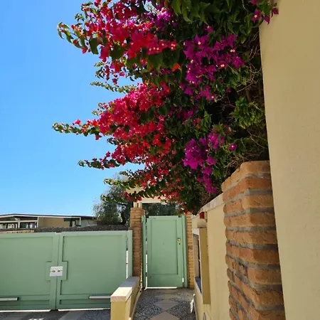 Exclusive On The Apartment Alghero