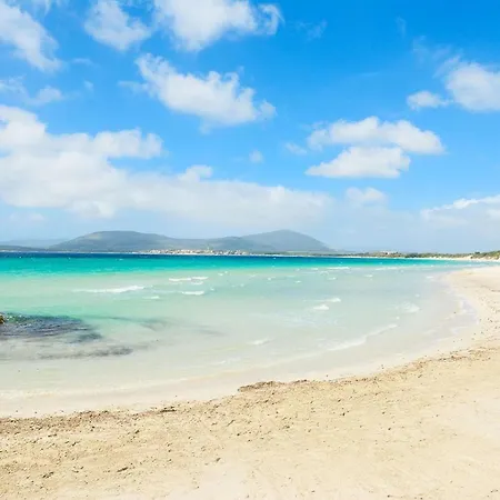 Apartment Exclusive On The Alghero