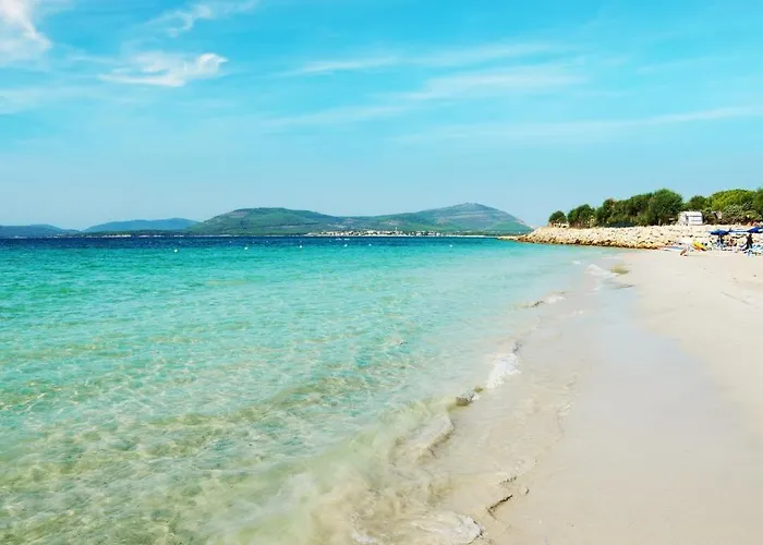 Exclusive On The * ألغيرو