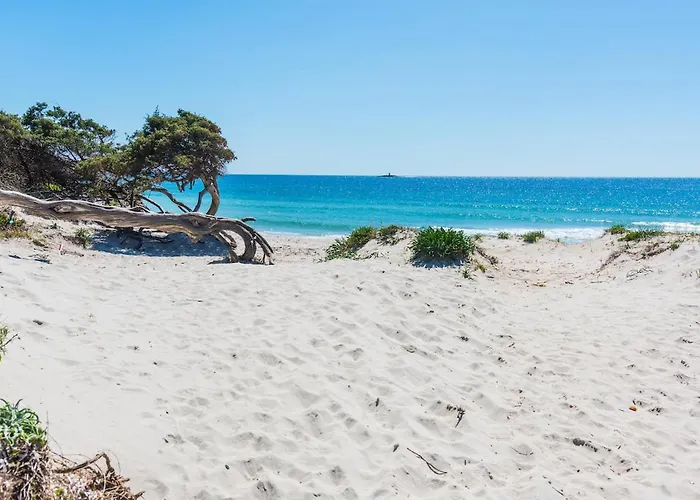 Exclusive On The Alghero